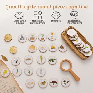 Montessori Life Cycle Educational Puzzle Board - RYAN AND REMI