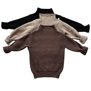 Soft Turtleneck Pullover Sweater